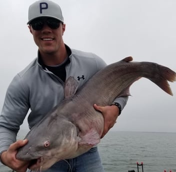 Blue Catfish fishing in Dallas, Texas