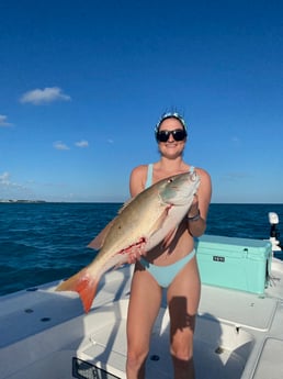 Mutton Snapper fishing in Key West, Florida