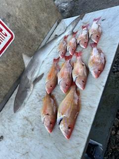 Fishing in Port Orange, Florida