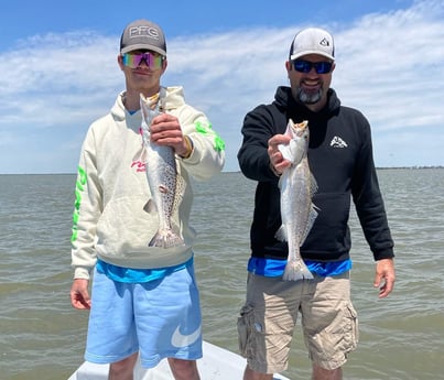 Speckled Trout / Spotted Seatrout fishing in Galveston, Texas