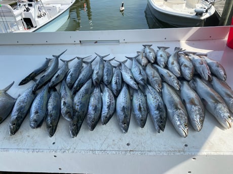 Spanish Mackerel Fishing in Fort Morgan, Alabama