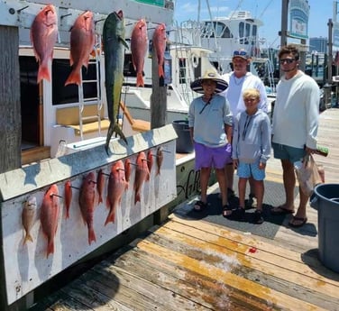 Mahi Mahi, Red Snapper, Scup, Vermillion Snapper Fishing in Destin, Florida