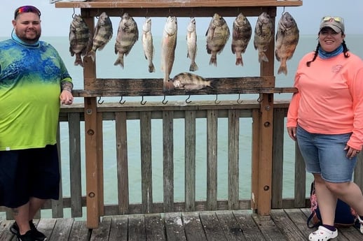 Redfish, Sheepshead, Speckled Trout / Spotted Seatrout fishing in South Padre Island, Texas