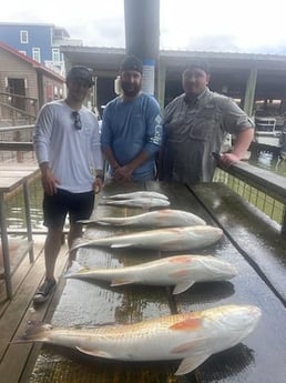 Redfish Fishing in Galveston, Texas