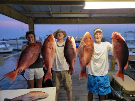 Mahi Mahi / Dorado, Red Snapper fishing in Pensacola, Florida