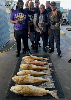 Redfish Fishing in Galveston, Texas