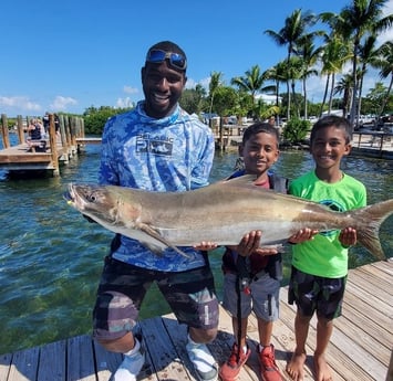 Cobia Fishing in Key Largo, Florida