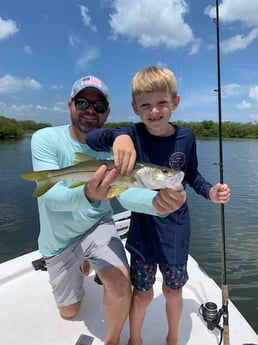 Snook fishing in Clearwater, Florida