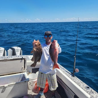 Red Grouper, Red Snapper Fishing in Riviera Beach, Florida