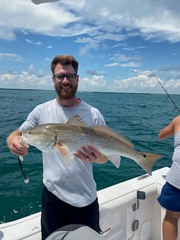 Redfish Fishing in Pensacola, Florida