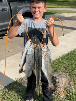 Speckled Trout / Spotted Seatrout fishing in Freeport, Texas