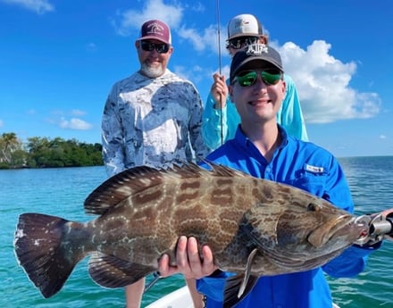 Black Grouper fishing in Tavernier, Florida