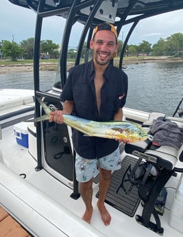 Mahi Mahi Fishing in Key Largo, Florida