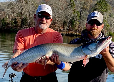 Muskie fishing in Knoxville, Tennessee