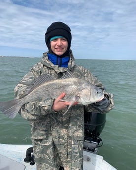 Black Drum fishing in Corpus Christi, Texas