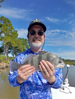 Black Drum fishing in St. Augustine, Florida