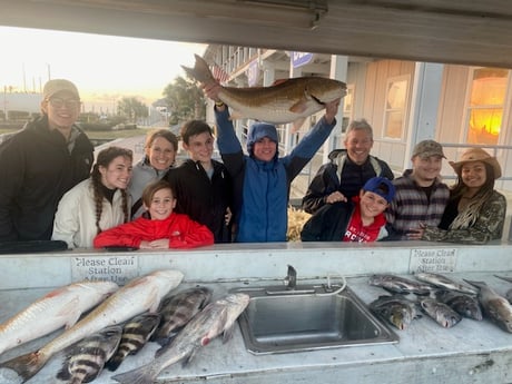 Black Drum, Redfish, Sheepshead Fishing in Galveston, Texas