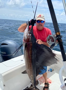 Sailfish fishing in Panama City Beach, Florida