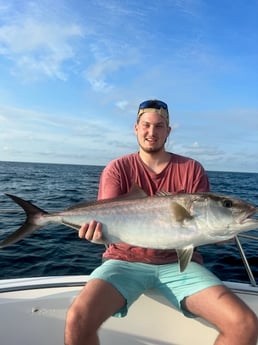 Amberjack Fishing in Destin, Florida