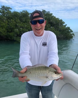 Goliath Grouper fishing in Key West, Florida