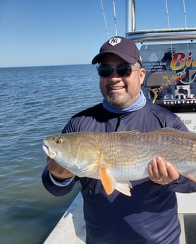 Redfish, Sheepshead fishing in Port Isabel, Texas