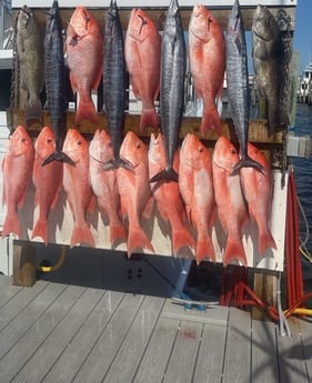 Gag Grouper, Red Snapper, Wahoo fishing in Destin, Florida