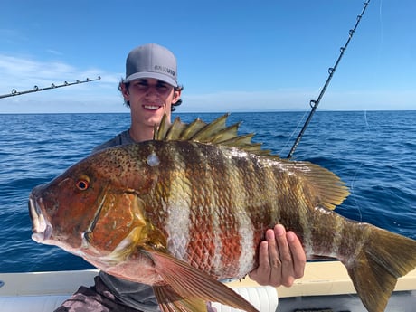 Fishing in Puerto Vallarta, Mexico