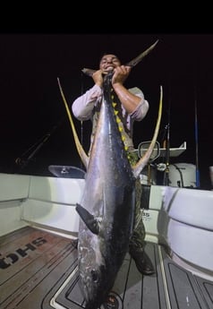 Fishing in Pensacola Beach, Florida