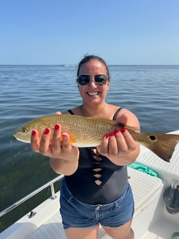 Fishing in Tarpon Springs, Florida