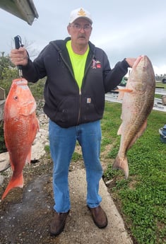 Red Snapper, Redfish fishing in South Padre Island, Texas