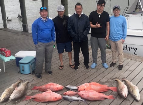 Red Snapper, Redfish fishing in Freeport, Texas