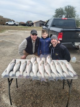 Striped Bass Fishing in Whitney, Texas