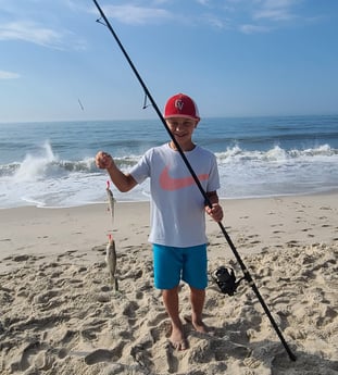 Speckled Trout / Spotted Seatrout fishing in Mount Pleasant, South Carolina