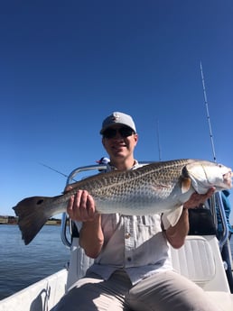 Black Drum, Redfish, Sheepshead, Speckled Trout / Spotted Seatrout fishing in Surfside Beach, Texas