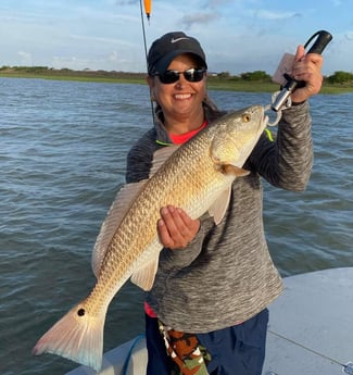 Redfish fishing in Port O&#039;Connor, Texas