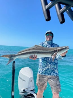 Cobia Fishing in Key West, Florida