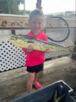 Mahi Mahi / Dorado fishing in Key West, Florida