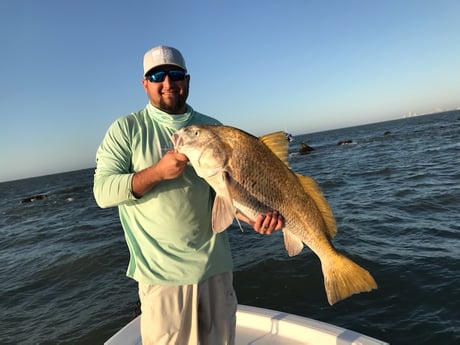 Black Drum fishing in League City, Texas