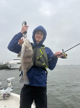 Black Drum Fishing in Galveston, Texas