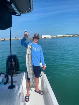 Barracuda Fishing in Key West, Florida