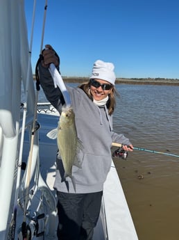Striped Bass fishing in Etoile, Texas