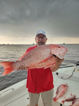 Red Snapper Fishing in Pensacola, Florida