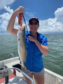 Speckled Trout / Spotted Seatrout fishing in Galveston, Texas