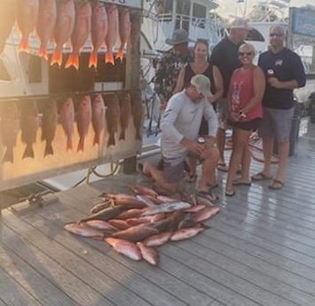 Gag Grouper, Red Snapper Fishing in Destin, Florida