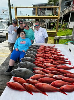 Triggerfish, Vermillion Snapper Fishing in Destin, Florida