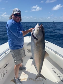 Amberjack fishing in Galveston, Texas