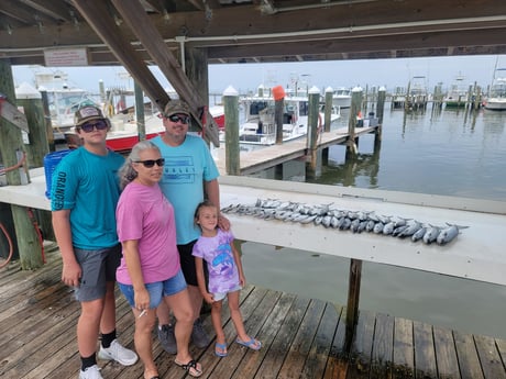 Spanish Mackerel fishing in Gulf Shores, Alabama