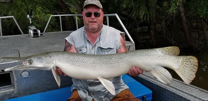 Alligator Gar fishing in Livingston, Texas