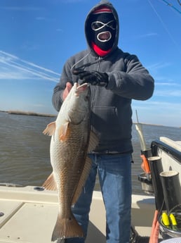 Redfish fishing in Venice, Louisiana