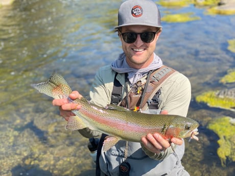 Rainbow Trout fishing in Denver, Colorado